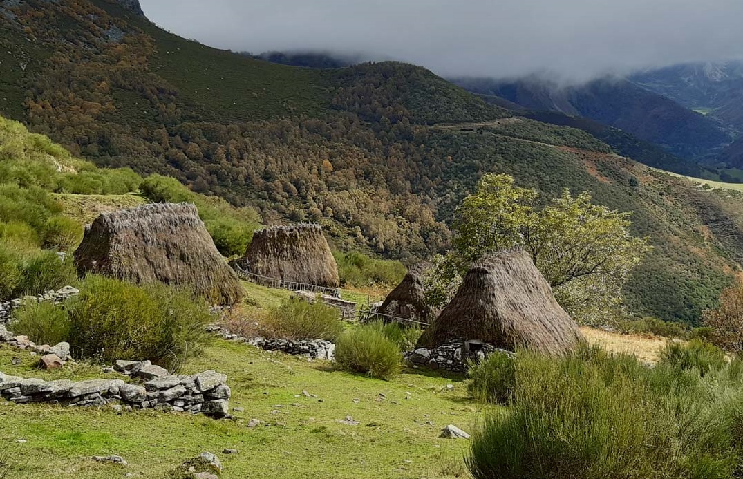 Oferta de trabajo: contratos de investigación sobre “rewilding” en la Cordillera&nbsp;Cantábrica