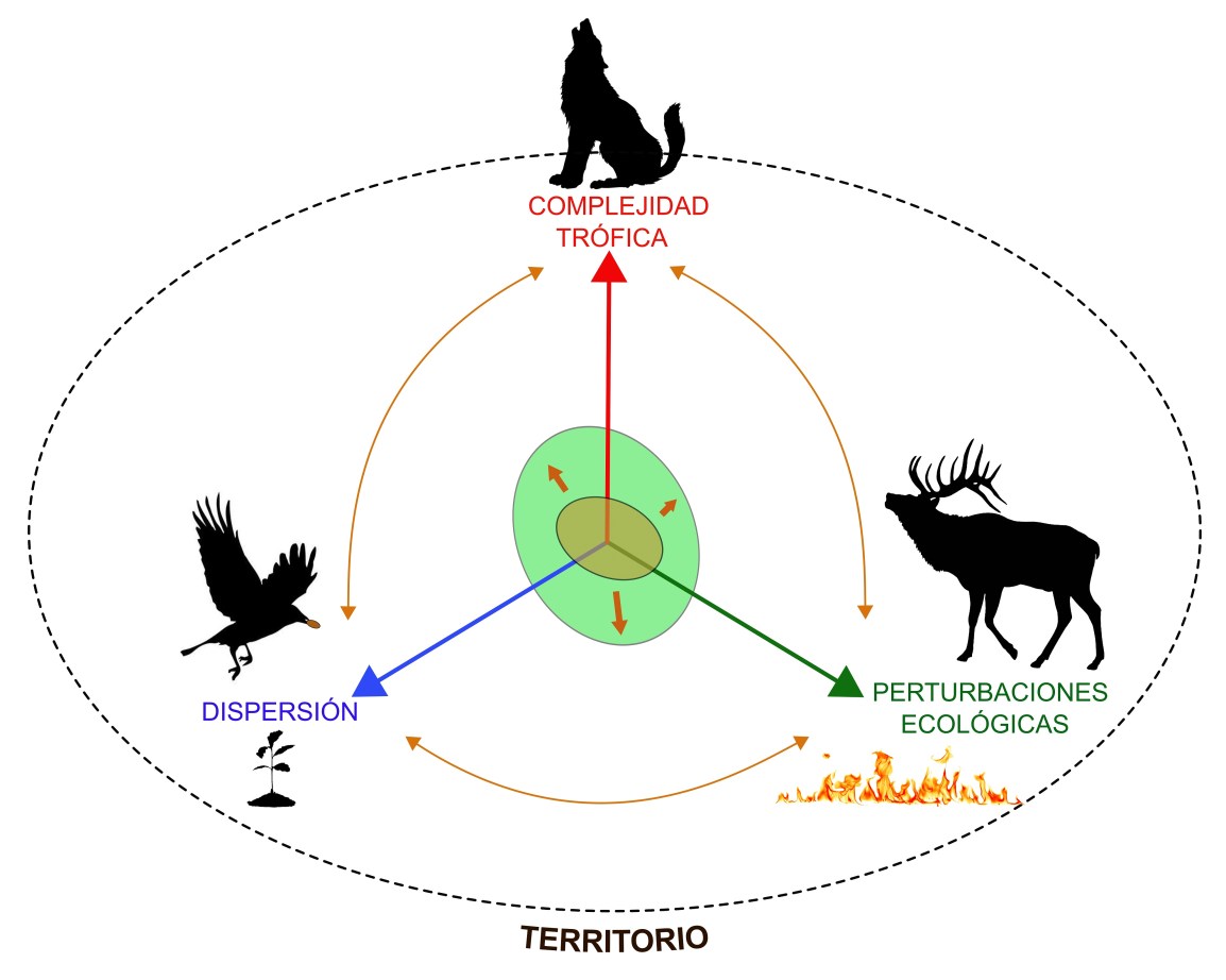Nueva publicación: Cómo y porqué se renaturaliza de forma pasiva la Cordillera&nbsp;Cantábrica