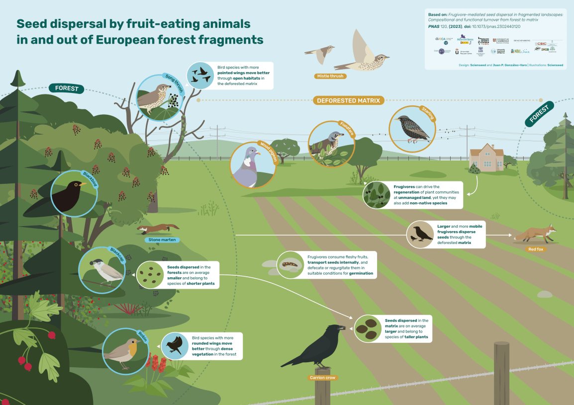 New Publication: Who disperses tree seeds in fragmented&nbsp;landscapes?